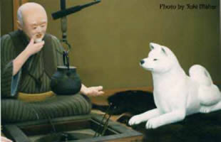 Akitafreund, Aus dem Akita Museum in Odate